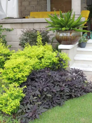 LeBrun Designs, Inc. - Garden Remodeling in Anderson, SC