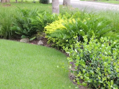 LeBrun Designs, Inc. - Garden Remodeling in Anderson, SC