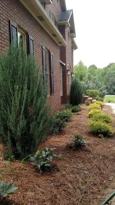 Greenwood Residence — Landscape Design project by LeBrun Designs, Inc.