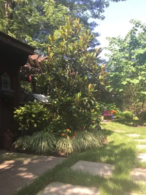 Ledden Palimeno Landscape Co. - Landscape Construction in Sewell, NJ