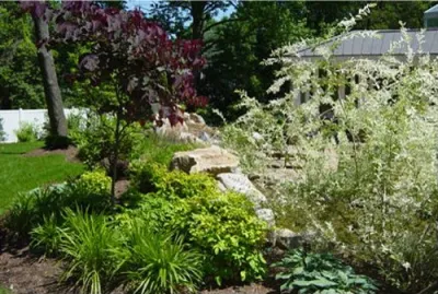Haddonfield NJ Residence #5 — Landscape Design project by Ledden Palimeno Landscape Co.