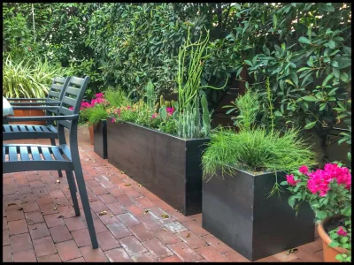 Bliss by Leifeste Landscape Design
