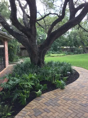 Badger by Leifeste Landscape Design