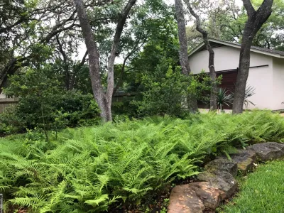 Leifeste Landscape Design - Garden Remodeling in San Antonio, TX