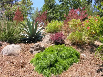 Leigh Designs - Landscape Construction in Berkeley, CA