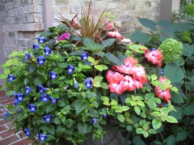 American Landscape - Garden Remodeling in Menomonee Falls, WI