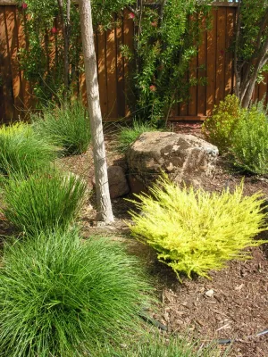 Leigh Designs - Landscape Construction in Berkeley, CA