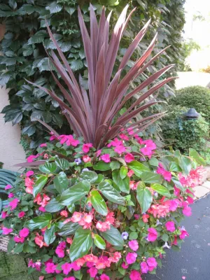 American Landscape - Garden Remodeling in Menomonee Falls, WI
