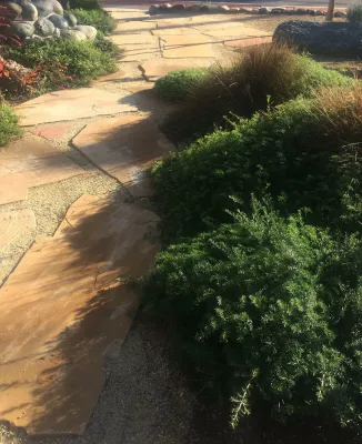 Leslie Ryan, Landscape Architect - Patio Design & Installation in Coronado, CA