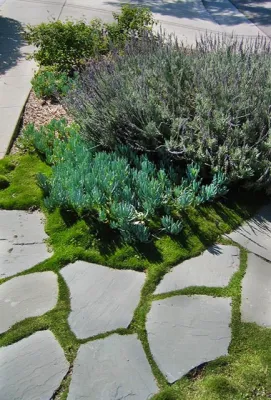 Leslie Ryan, Landscape Architect - Patio Design & Installation in Coronado, CA