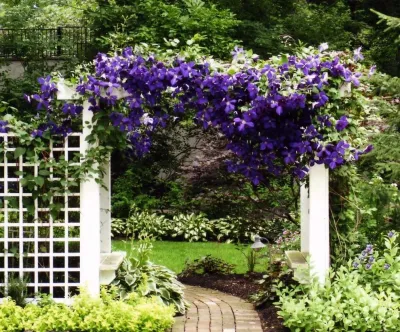 Leslie Scott Design - Landscape Design in Cleveland Heights, OH