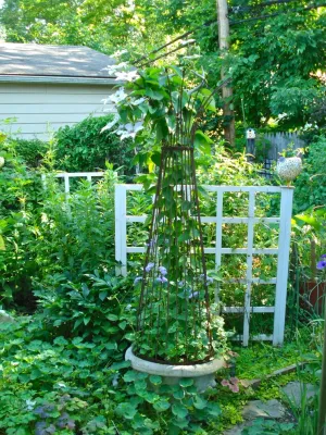 Leslie Scott Design - Landscape Design in Cleveland Heights, OH