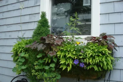 Leslie Scott Design - Landscape Design in Cleveland Heights, OH