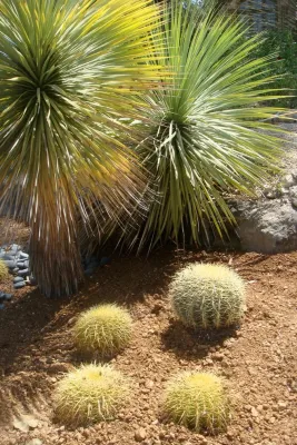 Leveridge Landscape Design - Outdoor Lighting Installation in Austin, TX