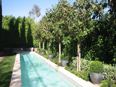 Leyva & Wilde, Inc. - Landscape Design in Laguna Niguel, CA