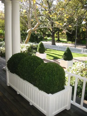 Leyva & Wilde, Inc. - Landscape Design in Laguna Niguel, CA
