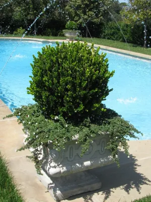 Leyva & Wilde, Inc. - Landscape Design in Laguna Niguel, CA