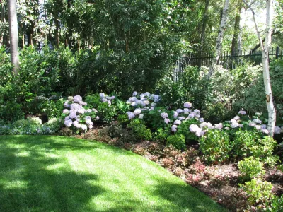 Leyva & Wilde, Inc. - Landscape Design in Laguna Niguel, CA