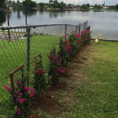 Lighthouse Garden Center, LLC - Landscape Maintenance in Miami, FL