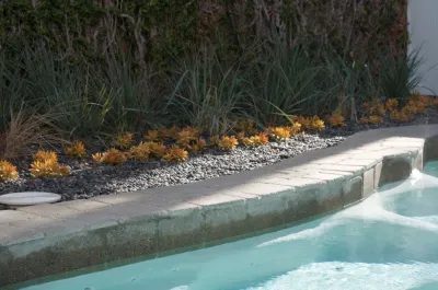 Linda McKendry Design - Landscape Maintenance in Hidden Hills, CA