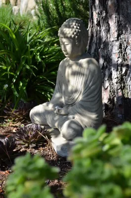 Linda McKendry Design - Landscape Maintenance in Hidden Hills, CA