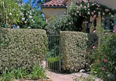 Linda McKendry Design - Landscape Maintenance in Hidden Hills, CA