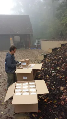 Liquid Landscapes, Inc. - Landscape Maintenance in Asheville, NC