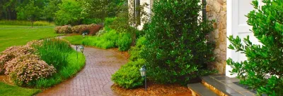 Transformation — Landscape Design project by Liquidscapes
