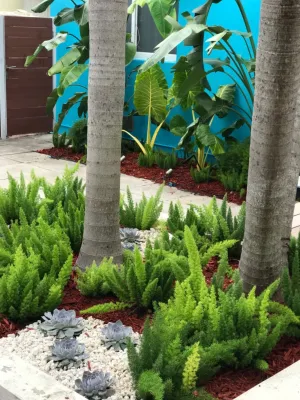 CASA DEL MAR — Landscape Design project by Aveille Landscape in Hollywood