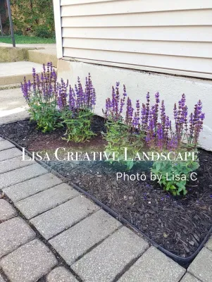 Lisa Creative Landscape LLC - Garden Remodeling in Chicago, IL