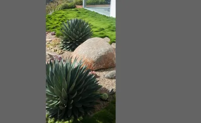 Lisa Gimmy Landscape Architecture - Landscape Design in Los Angeles, CA