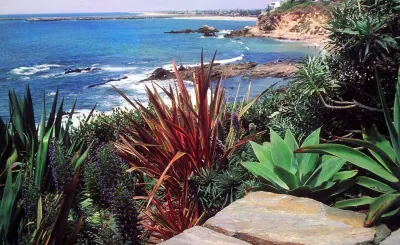 Bluff Top Garden — Landscape Design project by Lisa Gimmy Landscape Architecture