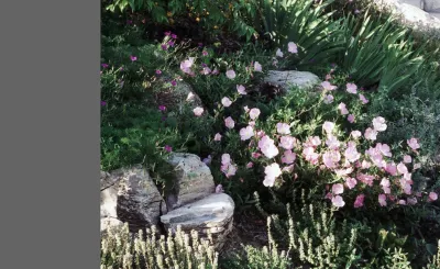 Craftsman Estate — Landscape Design project by Lisa Gimmy Landscape Architecture