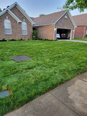 Alberto Alavez Professional Lawn Services LLC - Tree & Shrub Care in Louisville, KY