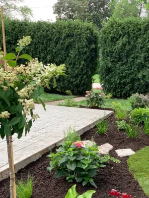 Amliv Land Designs - Patio Design & Installation in Des Plaines, IL