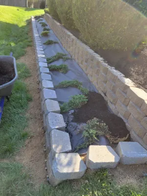 Alberto Alavez Professional Lawn Services LLC - Tree & Shrub Care in Louisville, KY
