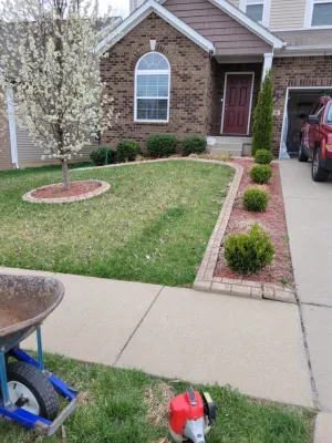 Alberto Alavez Professional Lawn Services LLC 9 — Landscape Construction project by Alberto Alavez Professional Lawn Services LLC