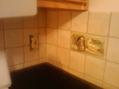 Ornamental Kitchen Tile — Tile & Stone Installation Services project by Davey Tile