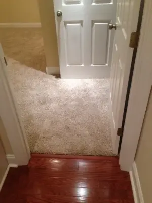 Eastman's Carpets - Carpet Installation in Morehead City, NC