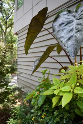 Living Designs Landscaping - Garden Remodeling in Johns Island, SC