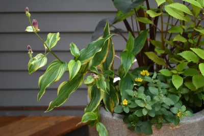 Living Designs Landscaping - Garden Remodeling in Johns Island, SC