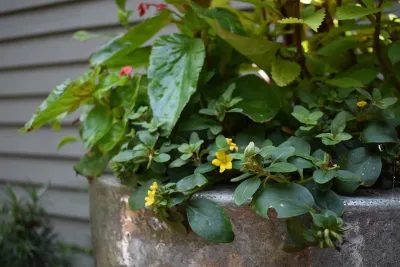 Living Designs Landscaping - Garden Remodeling in Johns Island, SC
