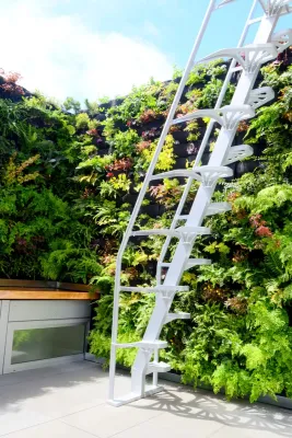 Living Green Design - Landscape Design in San Francisco, CA