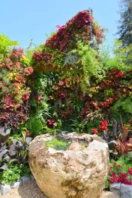 Living Green Design - Landscape Design in San Francisco, CA