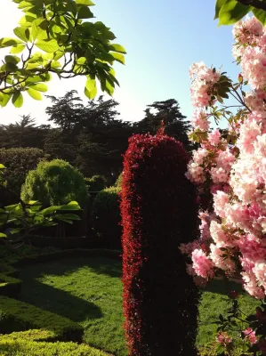 Living Green Design - Landscape Design in San Francisco, CA