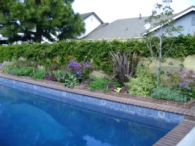 Living Landscapes - Landscape Design in Newport Beach, CA