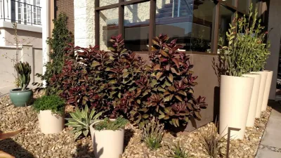 Living Landscapes - Landscape Design in Newport Beach, CA
