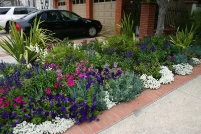 Living Landscapes - Landscape Design in Newport Beach, CA