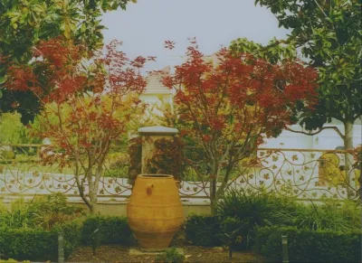 Logoluso Design Studio - Patio Design & Installation in Studio City, CA