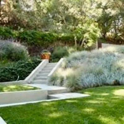 Fryman Canyon — Landscape Design project by Logoluso Design Studio